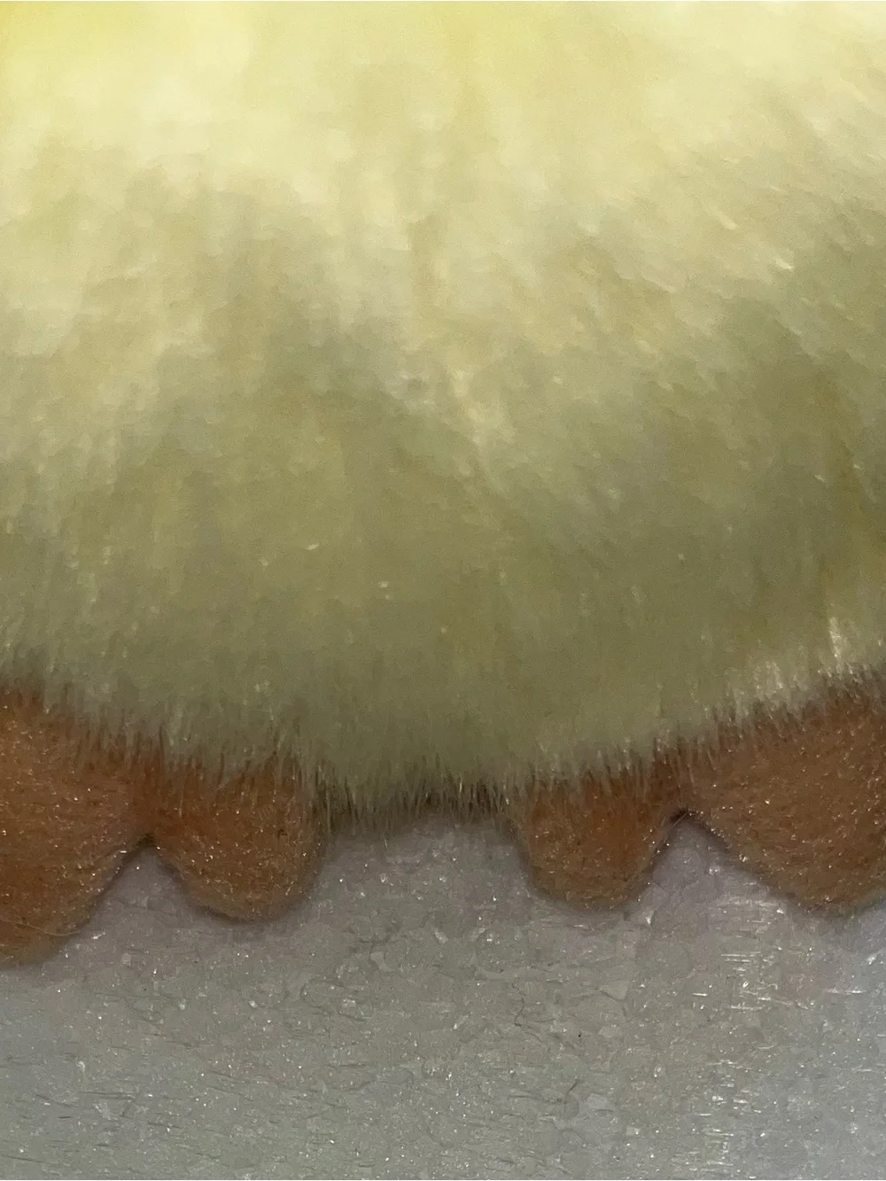 Aurora Miyoni Chick 6